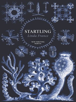 cover image of Startling